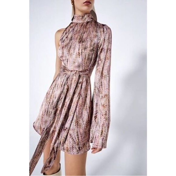 Alexis Dresses & Skirts - Alexis One Shoulder Speckle Print Capi
Satin Mini Dress